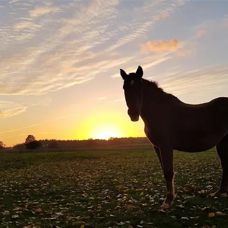 Appartamento Winther 2